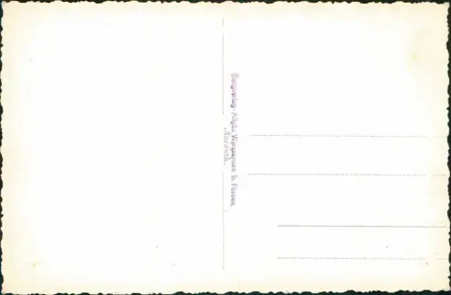 Ansichtskarte Pfronten (Allgäu) Schlossangeralm Allgäu 1931