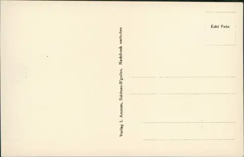 St. Bartholomä-Schönau am Königssee Blick vom Feuerpalven (Götzenalm) 1932