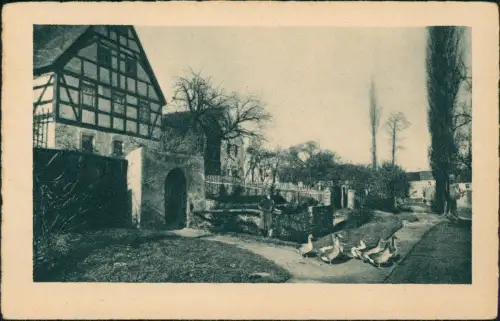 Ansichtskarte  Dorfpartie Fachwerkhäuser Gänse 1928