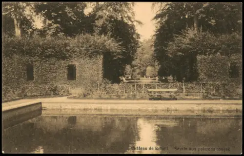 Postkaart Belœil Bassin aux poissons rouges Schloss Belœi Château 1918