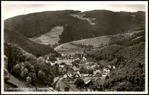 Ansichtskarte Bad Rippoldsau-Schapbach Blick auf die Stadt 1930