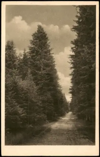 Ansichtskarte Königsfeld im Schwarzwald Neuhauser Weg. 1928