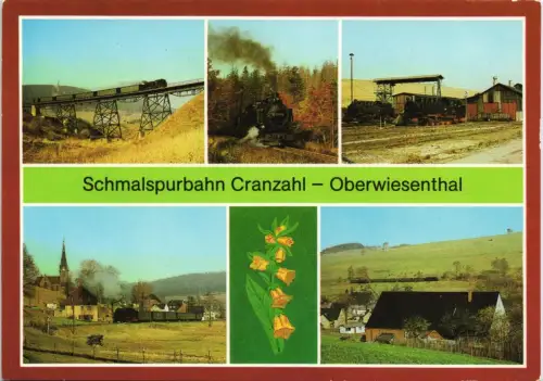 Ansichtskarte .Sachsen Schmalspurbahn Cranzahl-Oberwiesenthal 1984
