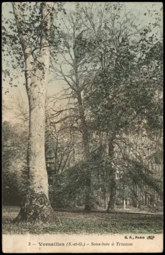 CPA Versailles Schlossgarten Park Sous-bois à Trianon 1907