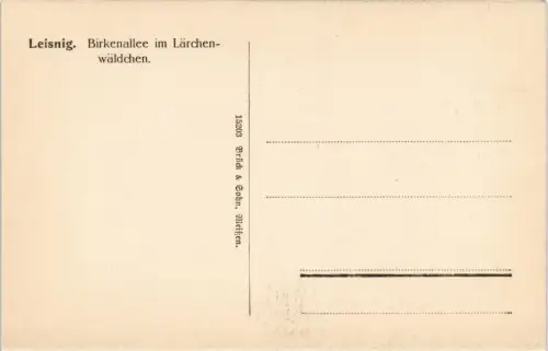 Ansichtskarte Leisnig Birkenallee im Lärchenwäldchen. 1913