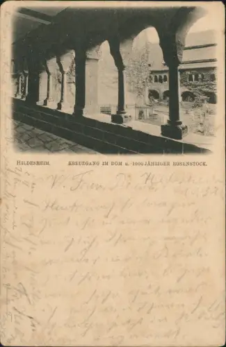 Ansichtskarte Hildesheim Kreuzgang Dom 1000 Jähriger Rosenstock 1916