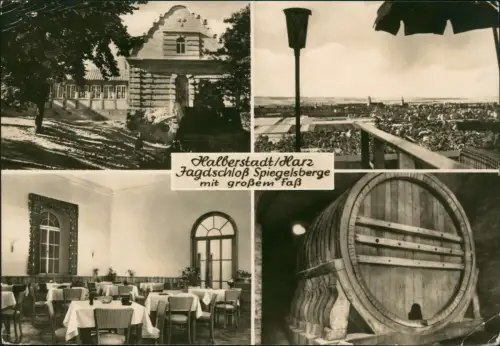 Ansichtskarte Halberstadt Jagdschloß Spiegelsberge 4 Bild 1966