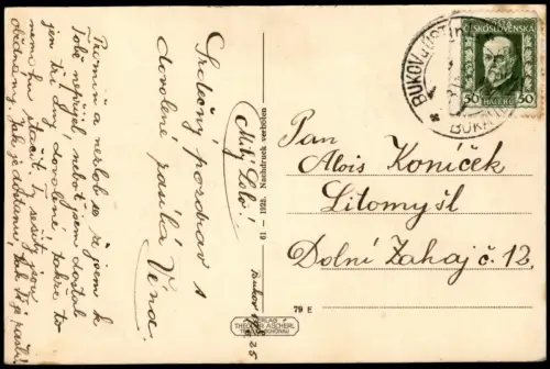 Schreckenstein Aussig Střekov Laben Ústí nad Labem Elbe Elbetal Fernblick 1925