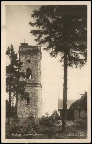 Postcard Benetzko Benecko ZALÝ Heidelbergturm Fotokarte 1926