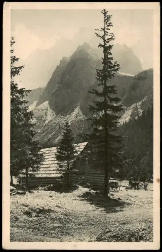 Postcard .Slowakei Hohe Tatra Vysoké Tatry Polana pod Vysokou 19345