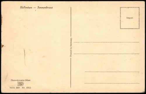 Ansichtskarte  Hellenium Sonnenbraut Botanik Photochromie 1934