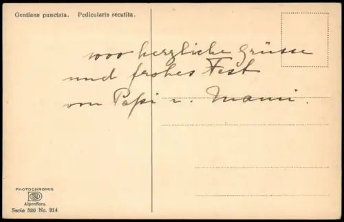 Botanik Gentiana punctata. Pedicularis recutita. PHOTOCHROMIE Alpenflora 1912