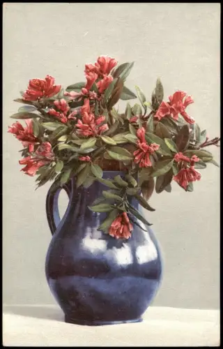 Ansichtskarte  Botanik Rhododendron ferrugineum. Pflanzen Photochromie 1912