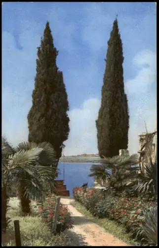 Riva del Garda Photochromiekarte Stimmungsbild Natur Lago di Garda Gardasee 1910