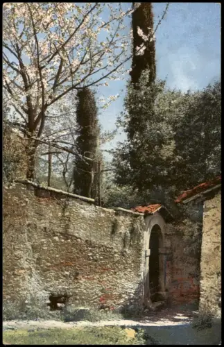 Riva del Garda Lago di Garda Gardasee Blüte in einem Hinterhof 1910