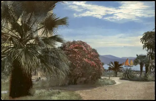 Riva del Garda Lago di Garda Gardasee Photochromiekarte Stimmungsbild Natur 1910