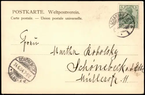 Ansichtskarte Bad Schandau Panorama-Ansicht 1904   Ankunftsstempel