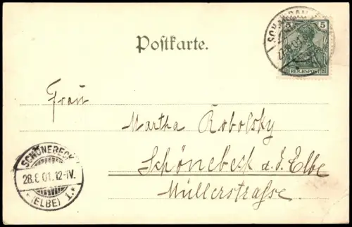 Ansichtskarte Bad Schandau Marktplatz, Pferde-Fuhrwerk 1901   Ankunftsstempel