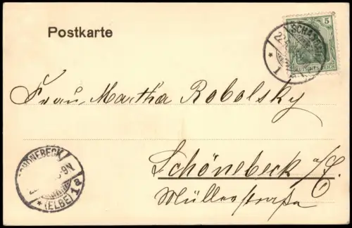 Ansichtskarte Bad Schandau Panorama-Ansicht Elbe Schiffe 1904