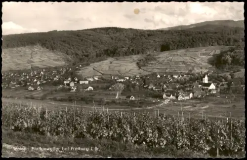 Ansichtskarte Pfaffenweiler Blick vom Weinberg auf die Stadt 1968