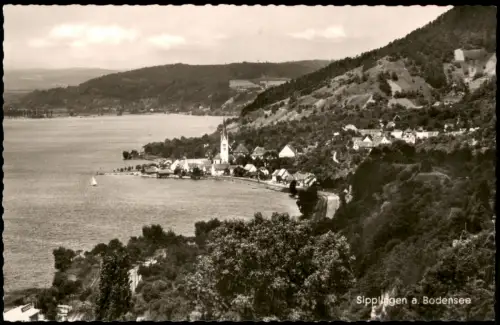 Ansichtskarte Sipplingen Blick auf die Stadt Fotokarte 1964