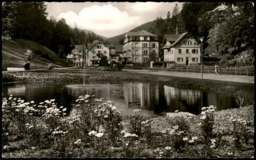 Ansichtskarte Bad Rippoldsau-Schapbach Luitgardstift - Straßenpartie 1964