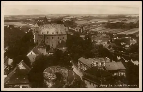 Ansichtskarte Leisnig Blick über das Schloss Mildenstein - Fotokarte 1928