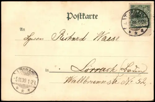 Ansichtskarte Torgau Schloss Hartenfels und Stadt 1899