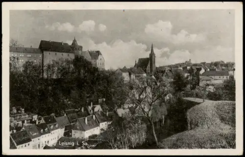 Ansichtskarte Leisnig Stadpark 1954