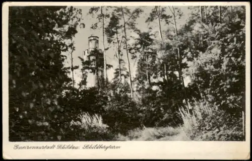 Ansichtskarte Schildau Schildbergturm 1959