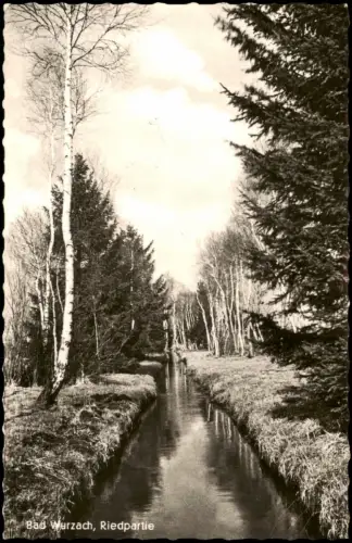 Ansichtskarte Bad Wurzach Riedpartie - Fotokarte 1965