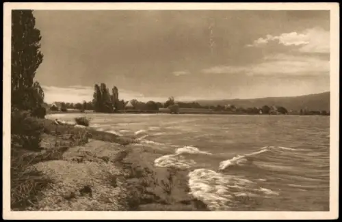 Ansichtskarte Reichenau (Bodensee) Motiv am Untersee Insel Uferparlie 1928