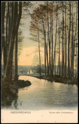 Lübbenau (Spreewald) Lubnjow Parthie beim Schützenhaus OBERSPREEWALD 1905