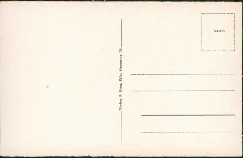 Ansichtskarte Mainz Burg Sooneck Rhein Panorama-Blick 1930