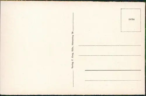 Bingen am Rhein Rhein Schiff Dampfer passiert Burg Schloss Rheinstein 1930