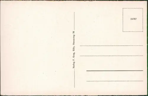 Assmannshausen am Rhein-Rüdesheim (Rhein) Panorama Rhein mit Schiffen 1930