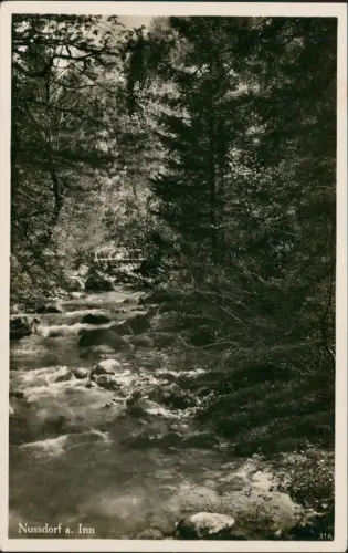 Nußdorf am Inn Umland-Ansicht Inn, Bayerisches Inntal Partie im Mühltal 1940