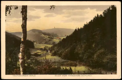 Teutoburger Wald BLICK VOM HANGSTEIN (SCHLING) 1915   gel BAD LIPPSPRINGE