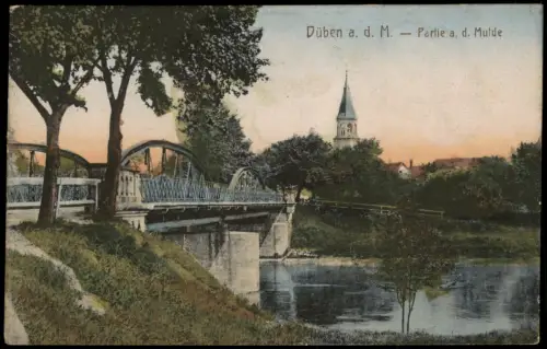 Ansichtskarte Bad Düben Ortsansicht Brücke Partie a. d. Mulde 1925
