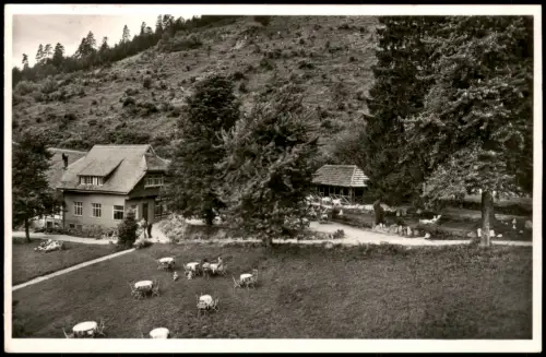 Bad Wildbad Wald-Café-Gaststätte Hochwiese Bes. Herm. Schmid im Schwarzwald 1940