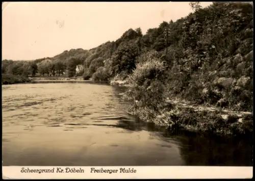 Döbeln Scheergrund Kr. Döbeln Freiberger Mulde zur DDR-Zeit 1960