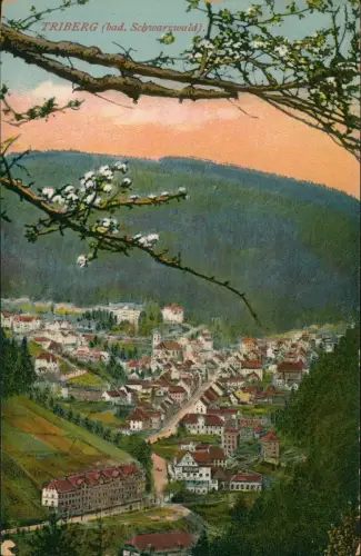 Ansichtskarte Triberg im Schwarzwald Stadt Baumblüte Künstlerkarte 1914