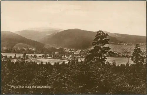 Ansichtskarte Tabarz/Thüringer Wald Stadtblick Fotokarte 1927