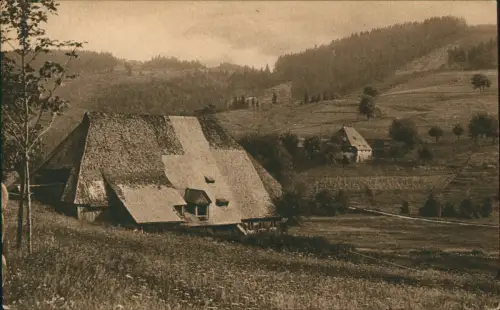 Schonach (Schwarzwald) Umland-Ansicht SCHWARZWALDHÄUSER in SCHONACH 1910