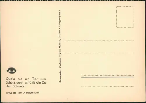 DDR Künstlerkarte Dt. Hygiene-Museum Dresden: Die Bienenkönigin 1958