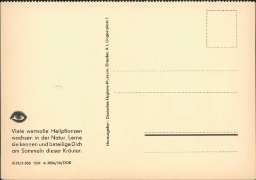 Ansichtskarte  DDR Künstlerkarte Dt. Hygiene-Museum Dresden: Zwerg Nase 1958