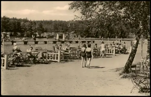 Ansichtskarte Schmannewitz-Dahlen Waldbad 1964