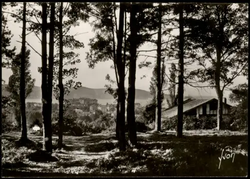 CPA Hendaye Hendaia Le Bois de Saskoénéa (Bses-Pyrénées) 1950