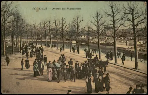 CPA Lille Straßen Ansicht belebt Avenue des Marronniers 1910