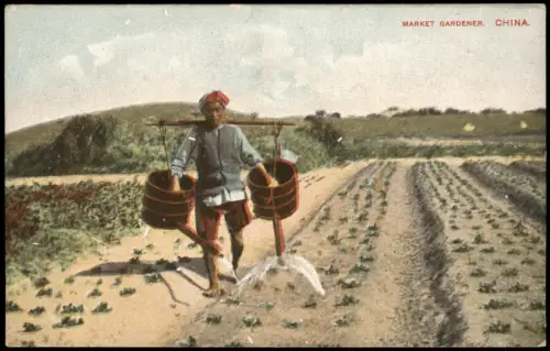 China (Allgemein) China MARKET GARDENER Native Scene Bauer bei Ernte 1910